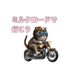 バイクに乗る猫【九州/ツーリング】（個別スタンプ：3）