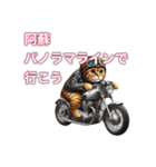 バイクに乗る猫【九州/ツーリング】（個別スタンプ：4）