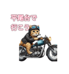 バイクに乗る猫【九州/ツーリング】（個別スタンプ：5）