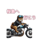 バイクに乗る猫【九州/ツーリング】（個別スタンプ：8）