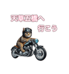 バイクに乗る猫【九州/ツーリング】（個別スタンプ：10）