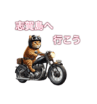 バイクに乗る猫【九州/ツーリング】（個別スタンプ：13）