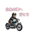 バイクに乗る猫【九州/ツーリング】（個別スタンプ：14）