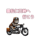 バイクに乗る猫【九州/ツーリング】（個別スタンプ：18）