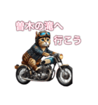 バイクに乗る猫【九州/ツーリング】（個別スタンプ：21）