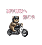 バイクに乗る猫【九州/ツーリング】（個別スタンプ：23）