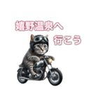 バイクに乗る猫【九州/ツーリング】（個別スタンプ：25）