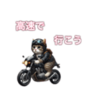 バイクに乗る猫【九州/ツーリング】（個別スタンプ：30）