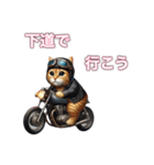 バイクに乗る猫【九州/ツーリング】（個別スタンプ：31）