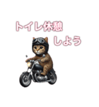 バイクに乗る猫【九州/ツーリング】（個別スタンプ：32）