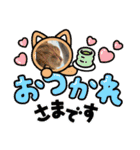 キジトラさくら2024（個別スタンプ：29）