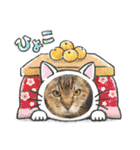キジトラさくら2024（個別スタンプ：31）