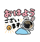 うちの子てんちゃん！（個別スタンプ：14）