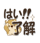 柴犬・茶色い犬『デカ文字』よく使う言葉（個別スタンプ：4）