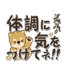 柴犬・茶色い犬『デカ文字』よく使う言葉（個別スタンプ：13）