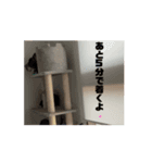 しまちゃん's3'（個別スタンプ：13）