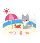 ちびハスキー9【夏】（個別スタンプ：1）