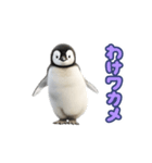 踊る！赤ちゃんペンギン（個別スタンプ：12）