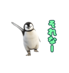 踊る！赤ちゃんペンギン（個別スタンプ：15）