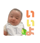 ぴーコレ②（個別スタンプ：6）