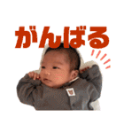 ぴーコレ②（個別スタンプ：8）