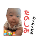 ぴーコレ②（個別スタンプ：16）