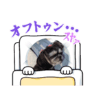 愛犬Roko（個別スタンプ：2）