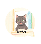 ⭐誰でもOK⭐黒猫⭐使いやすいフレーズ集①（個別スタンプ：4）