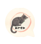 ⭐誰でもOK⭐黒猫⭐使いやすいフレーズ集①（個別スタンプ：6）