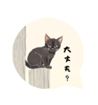 ⭐誰でもOK⭐黒猫⭐使いやすいフレーズ集①（個別スタンプ：12）