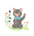 ⭐誰でもOK⭐黒猫⭐使いやすいフレーズ集①（個別スタンプ：34）