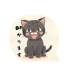 ⭐誰でもOK⭐黒猫⭐使いやすいフレーズ集①（個別スタンプ：38）