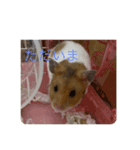 ハムブラザーズ2024 8（個別スタンプ：5）