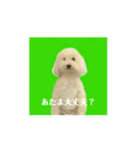 痺れを切らして動きだした犬（個別スタンプ：1）