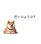 毎日使えるふきだし柴犬【挨拶・連絡用】（個別スタンプ：24）