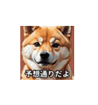 ちょっと生意気な柴犬（個別スタンプ：9）