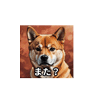 ちょっと生意気な柴犬（個別スタンプ：13）