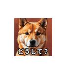 ちょっと生意気な柴犬（個別スタンプ：19）