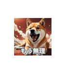 ちょっと生意気な柴犬（個別スタンプ：21）