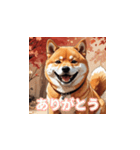 ちょっと生意気な柴犬（個別スタンプ：25）