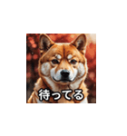 ちょっと生意気な柴犬（個別スタンプ：28）