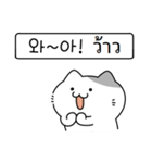 かわいい子猫,キキ (韓国語/タイ語)（個別スタンプ：14）