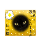 黒猫 ルナ院長155にゃんめ（個別スタンプ：3）