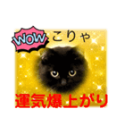 黒猫 ルナ院長155にゃんめ（個別スタンプ：8）