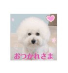 ビションのMint♂よろしく♡（個別スタンプ：2）