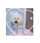 ビションのMint♂よろしく♡（個別スタンプ：3）