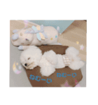 ビションのMint♂よろしく♡（個別スタンプ：9）