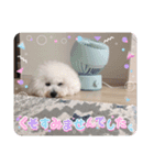 ビションのMint♂よろしく♡（個別スタンプ：13）