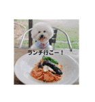 ビションのMint♂よろしく♡（個別スタンプ：14）