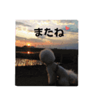 ビションのMint♂よろしく♡（個別スタンプ：16）